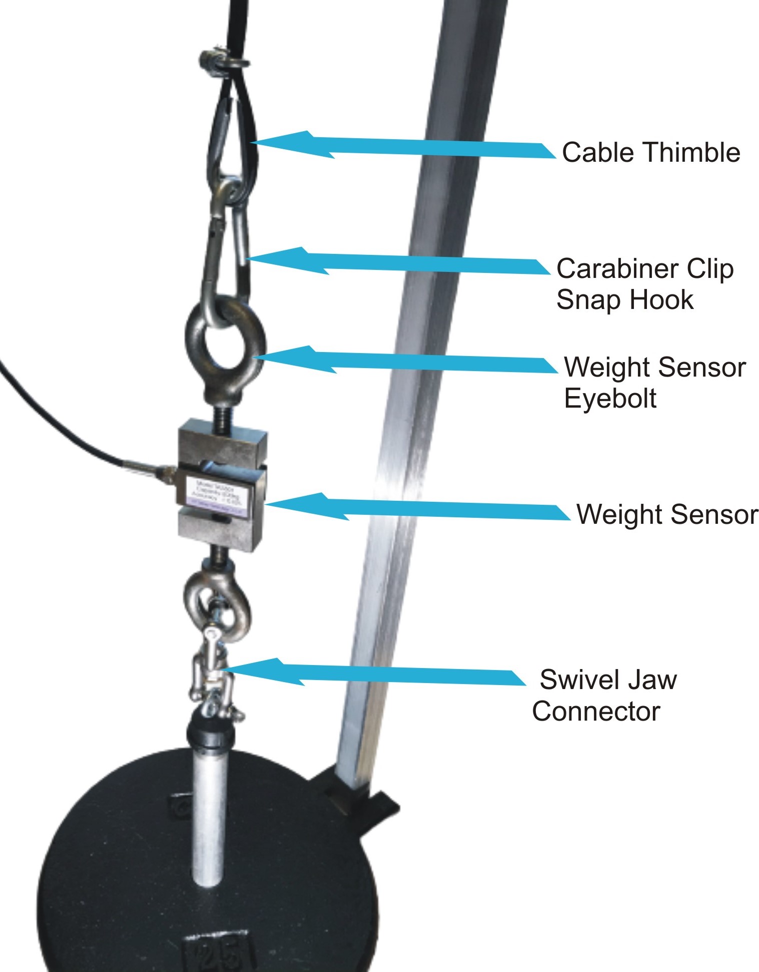 Deskerxizer Weight Sensor and Transducer